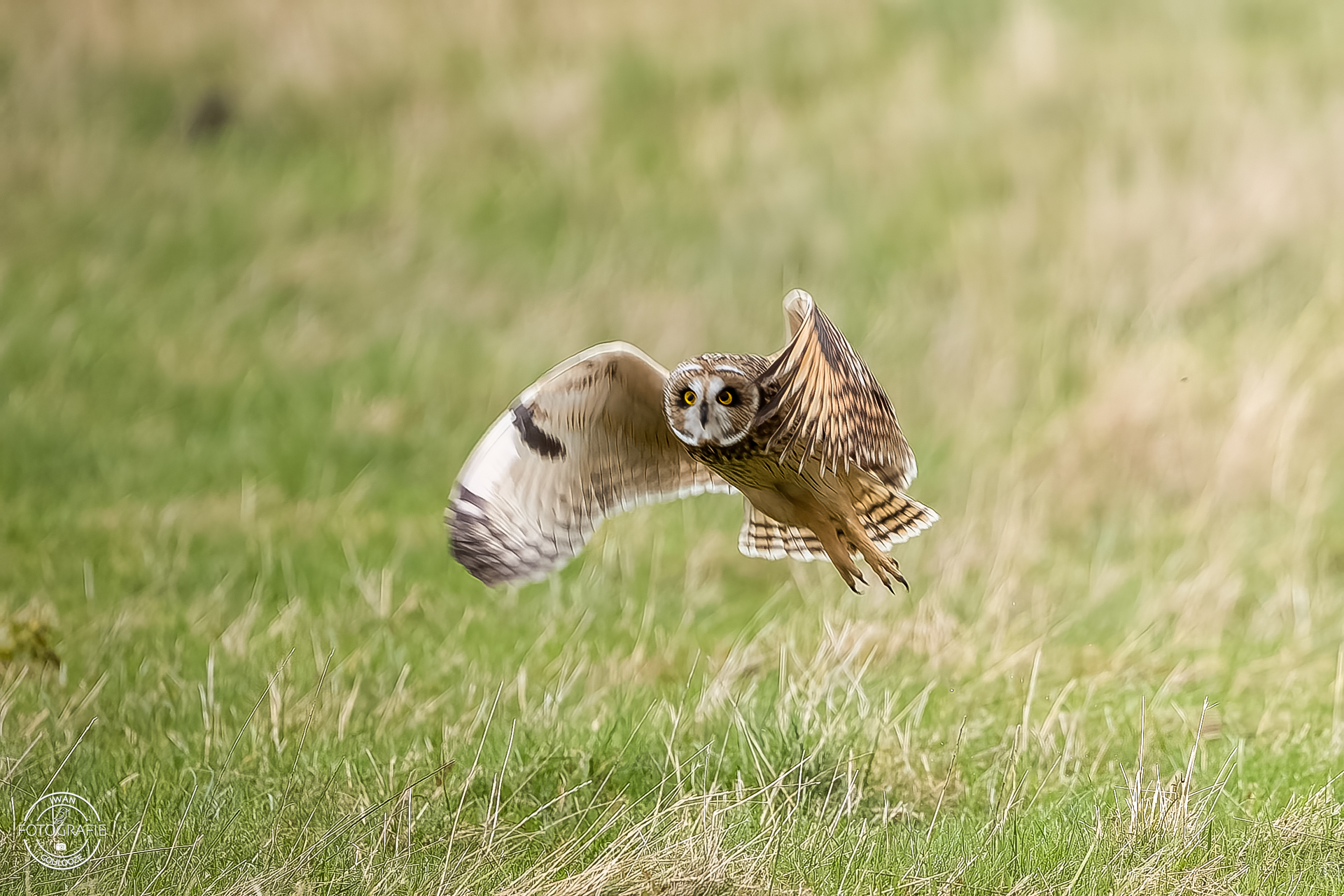 15 oktober 2022 164500 1R2A9706 bewerkt